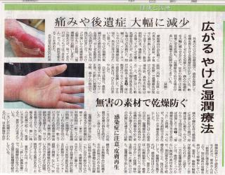 中日新聞平成25年2月19日朝刊